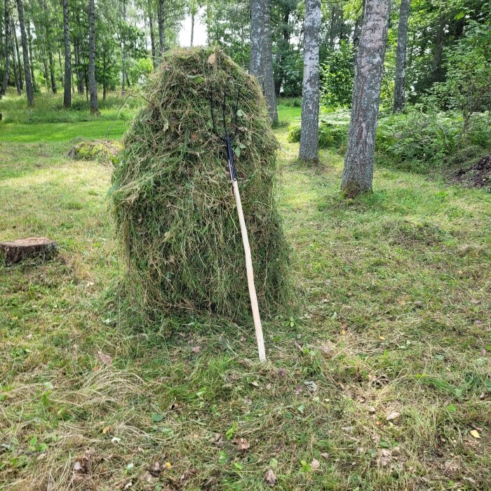 Hösåte av torkande gräs står uppställd på landsbygden, omgiven av träd, med en räfsa lutad mot den.