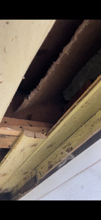 Takfot med synlig isolering, masonitskivor, och ventilationshål täckta med insektsnät, som en del av en inredning av en kattvind.