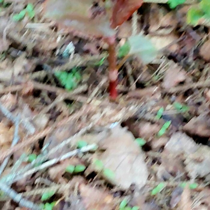 20250420_180407.jpg