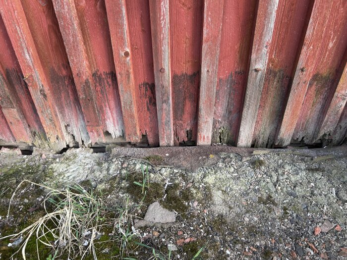 Röd träpanel vid en gammal ladugård som är ruttet längst ner, med sprickor och skadade brädor ovanför en källare.