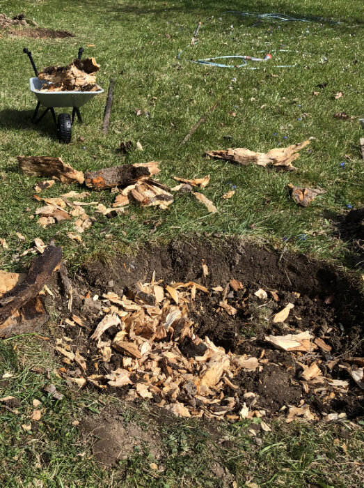 Stubbe borttagen med klyvyxa, omgiven av träflisor och jord, med en skottkärra fylld med träbitar i närheten på gräsmattan.