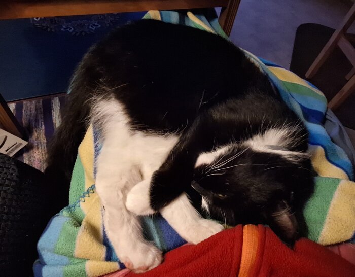 Svartvit katt sover på en färgglad filt i inomhusmiljö.