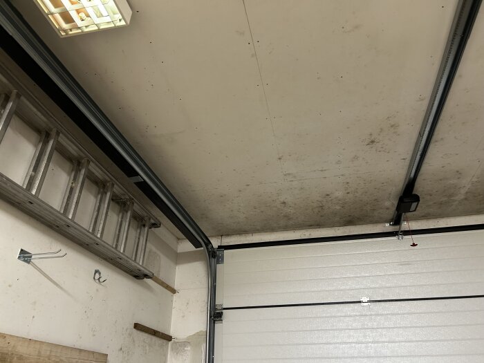 Svartmögel på taket i ett friliggande garage, med en stege på väggen och en automatisk garageportsöppnare synlig.