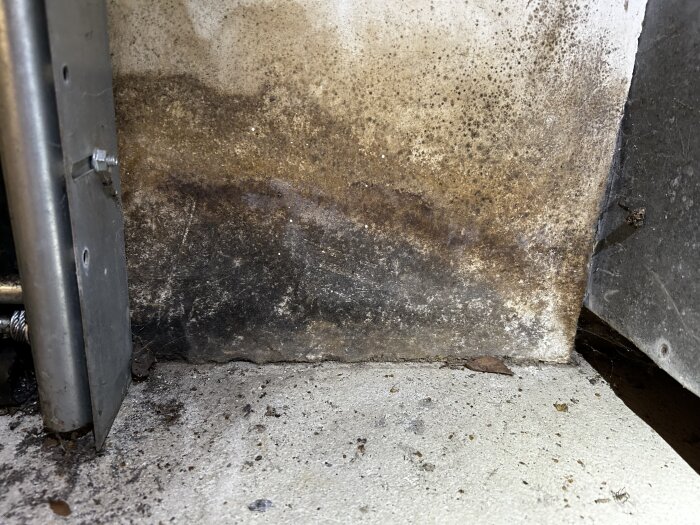 Svartmögel på garagevägg nära golvet, visar tydlig fuktskada.