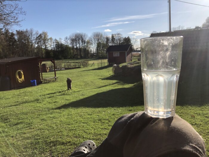 Ett glas vatten står på ett knä i en trädgård, med gräsmatta, trähus och skog i bakgrunden under en solig dag.