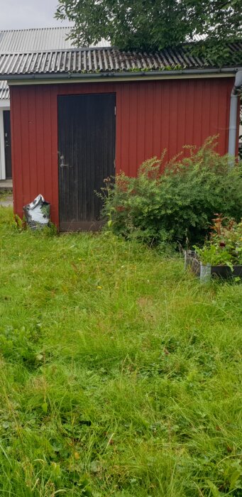 Röd förrådsbyggnad med svart dörr och grönska framför. En oöppnad paintburk står lutad mot byggnaden.