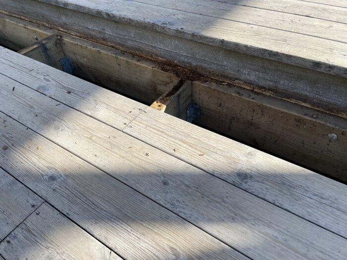 En utendørs terrasse med murknede trebjelker synlige under noen fjernede terrassebord. Skade på bjelkene, med trefragmenter og mørke flekker.