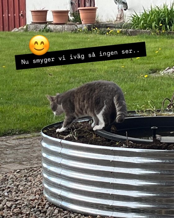 Katt smyger över en metallbalja i trädgården, omgiven av gräs och krukor, med texten "Nu smyger vi iväg så ingen ser.." och en smiley.