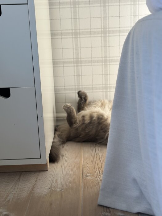 Katt sover på rygg bredvid ett skåp, med tassar i luften på ett trägolv.