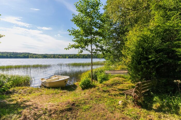 Båt vid sjöstrand omgiven av grönska och träd under klarblå himmel, med en träbänk och rep i förgrunden.