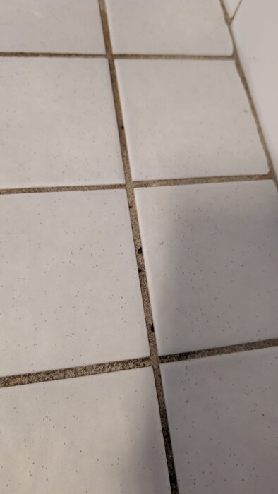 Närbild av vita kakelplattor med grå fogar i ett badrum, där fogarna är nednötta och visar tecken på slitage.