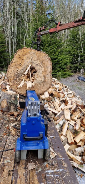 En stor vedkubbe på 50-55 cm klyvs med en blå vedklyv från Rusta. En grip håller kubben, och flisad ved ligger runt om.