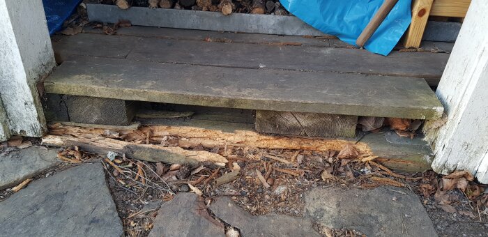 Ruttna trädelar under en enkel träbod, med synliga skador och löv runt omkring.