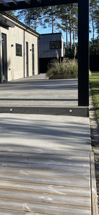 Trädäck av träplankor framför ett modernt hus, med planterade prydnadsgräs bredvid. Soligt väder och omgivande tallar synliga i bakgrunden.
