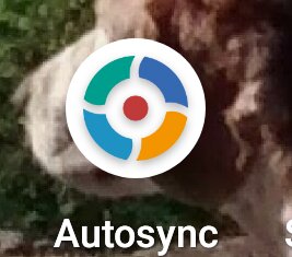 Flerfärgad cirkulär ikon med fyra segment och en röd punkt i mitten ovanför texten "Autosync".