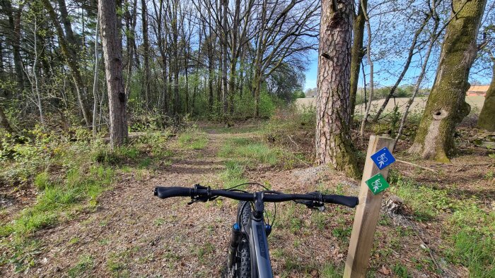 Cykelstyre vid skogsstig med cykelskyltar på en stolpe. Skogsmiljö med träd och grönska.