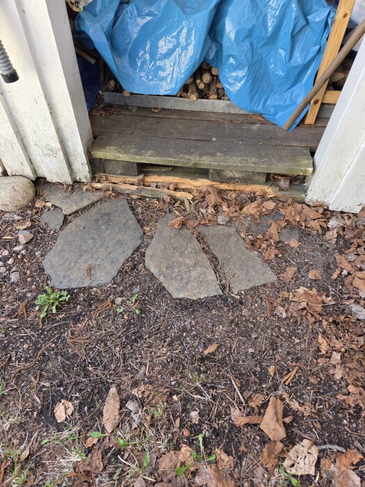 Ingång till bod med trätrappa, omslutet av stenar och jordig mark. Blå plastskydd täcker vedförråd inuti.
