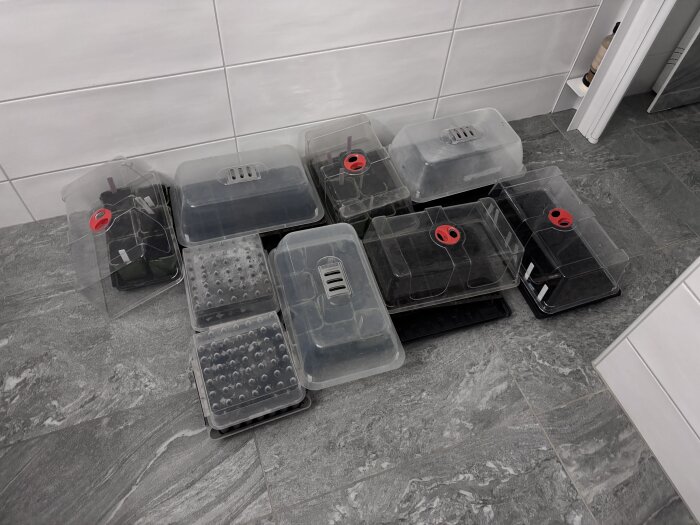 Plantbrickor med transparenta lock på grått badrumsgolv, fyllda med majsfrön, pumpor och squash.