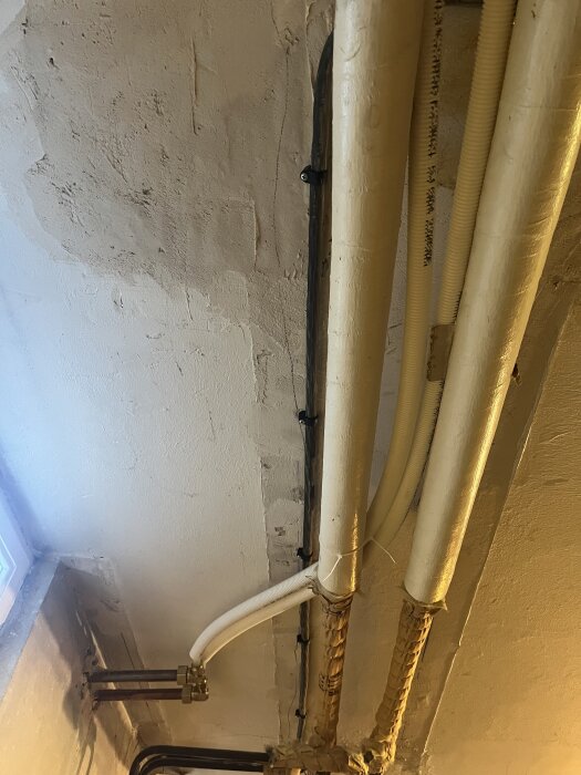 Bilden visar kopparrör och PEX-rör monterade på ett källartak, kopplat till varm- och kallvattenrör, med synliga kopplingar och isolering.