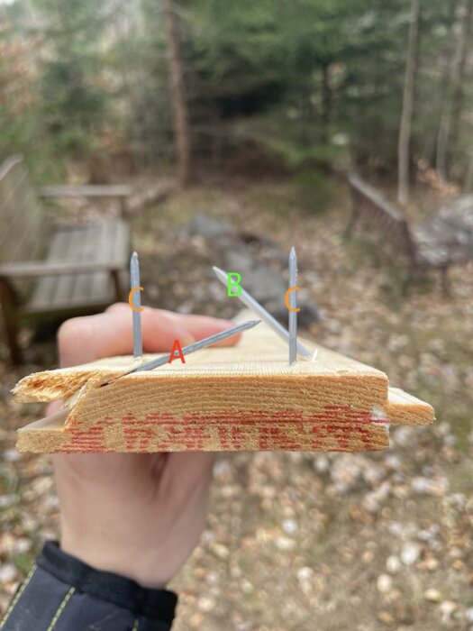 Träplanka med tre spikar i olika vinklar märkta A, B, C, hålls horisontellt utomhus med suddig bakgrund av skog.