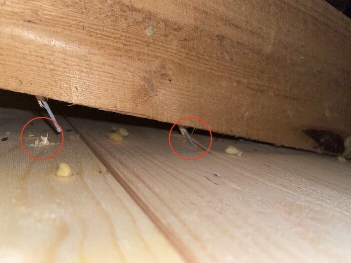 Råsponttak underifrån med spikhål och synliga spikar genom plankor, tecken på otillräcklig fästning. Rödmarkerade områden visar skador nära spikar.