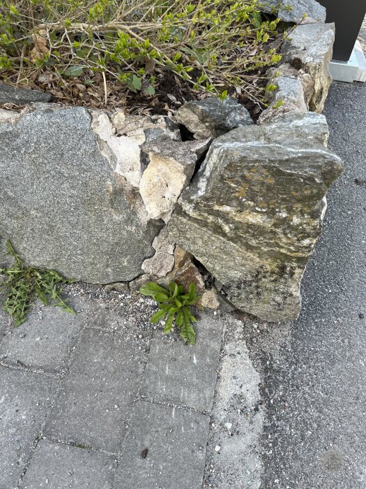 Skadad stenmur med en lös hörnsten och växtlighet, på en stenlagd markyta.