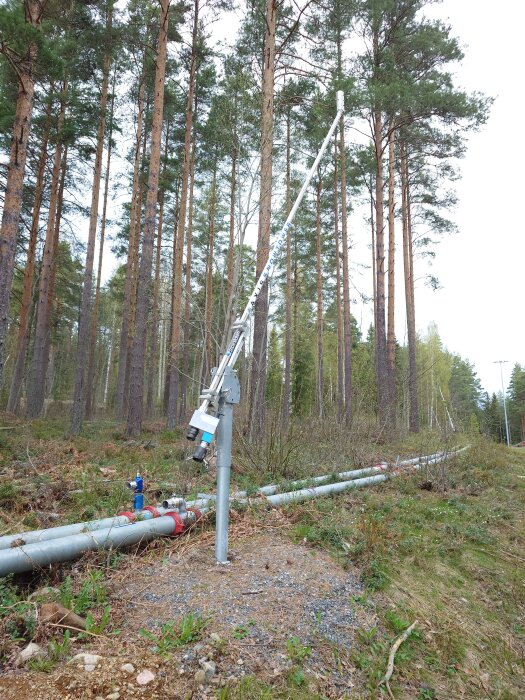 Vattenrör och utrustning i en skog, omgivet av tallar, med en metallställning och rörledningar på marken.