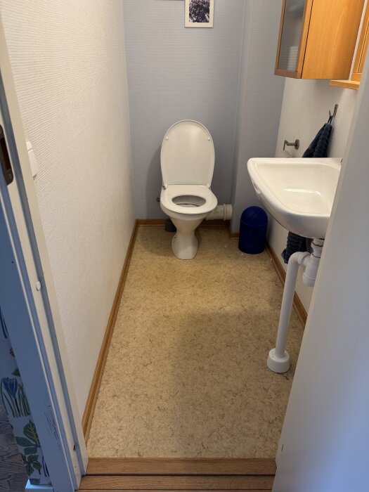 Toalett med öppet lock, vitt handfat till höger, blå papperskorg under, vitmålad vägg, träskåp ovanför handfatet, ljus golvmatta.