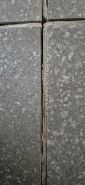 Närbild på en spricka i fogarna mellan fyrkantiga, grå kakelplattor i ett badrum.