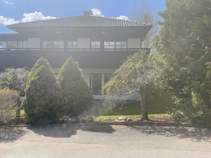 Bild av en husfasad med två granar, en thuja och ett träd vid en rabatt. Stenarna ligger bredvid trädet. Det är soligt med blå himmel.