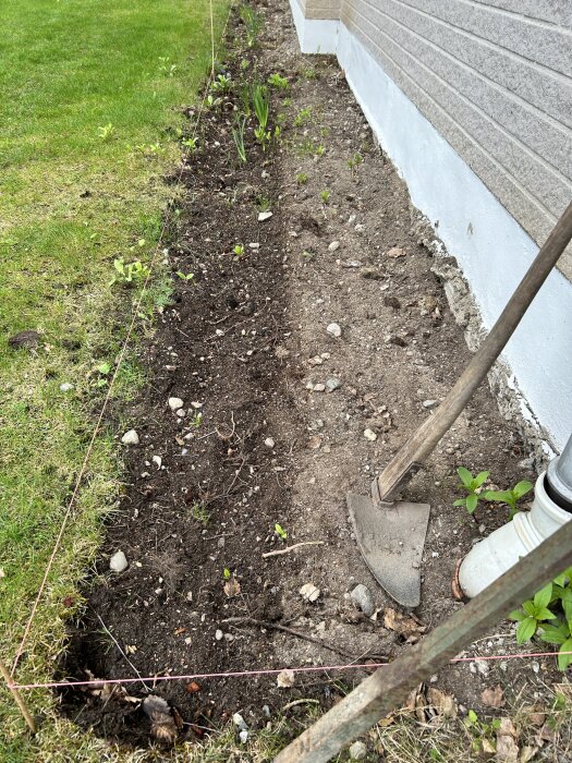 Grävd rabatt vid husfasad med gräsmatta intill, några små växter kvar samt ett spadliknande verktyg synligt på marken.