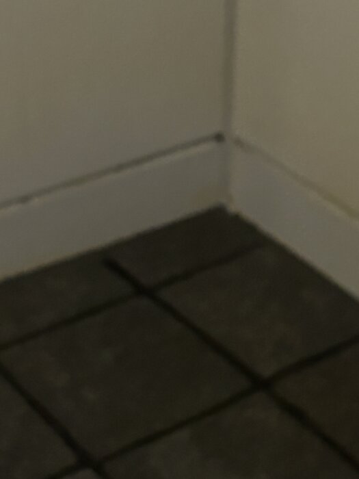 IMG_1905.jpeg