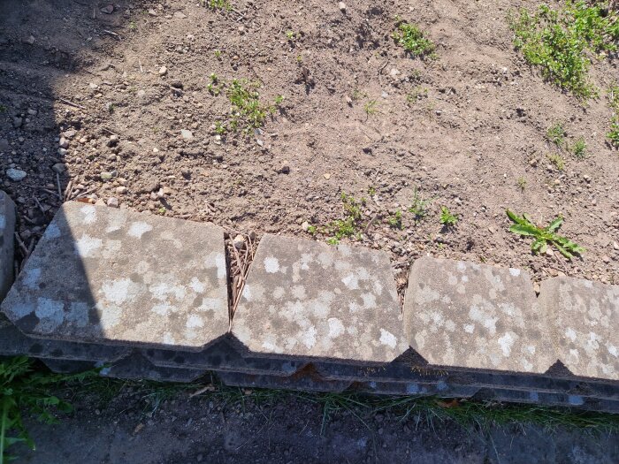 Stödmur av betongblock med jord och några ogräs ovanpå, sedd uppifrån.