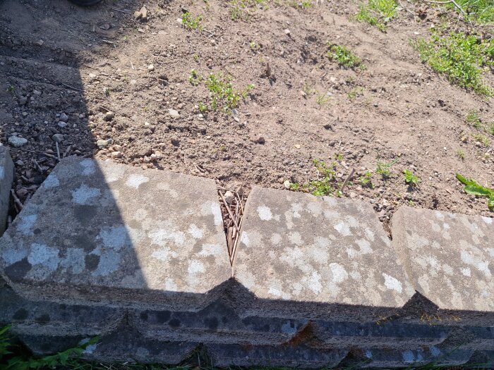 Närbild av en stödmur i betongsten med några sprickor, omgiven av jord och gräs, i ett trädgårdsområde.