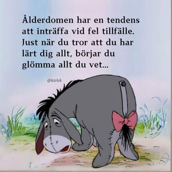 Tecknad åsna med text om ålderdomens ironi och glömska placerad ovan.