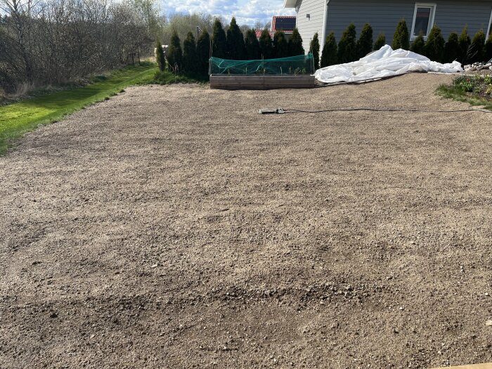 Nyutlagd jord på tidigare gräsmatta, väntar på gräsåterväxt. Område med krattad jord och vattenslang synlig vid sidan av ett hus.