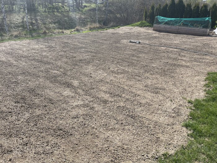 Nygrävd jordyta med jämn yta, spridda gräsfrön och ett vattenspridarverktyg. Gräsmatta under uppbyggnad med buskar i bakgrunden.