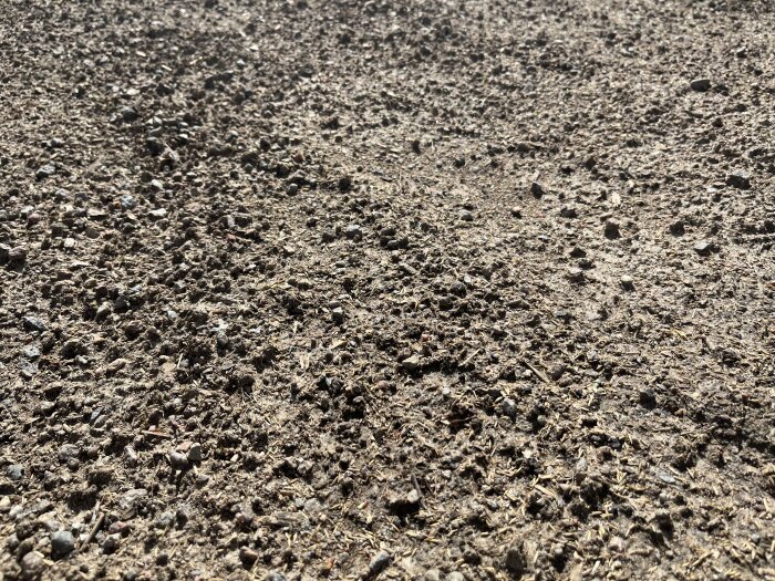 Närbild på torr jord med grus och gräsfrön, del av en nyligen sådd gräsmatta där jorden beskrivs som torr trots att den vattnas två gånger dagligen.