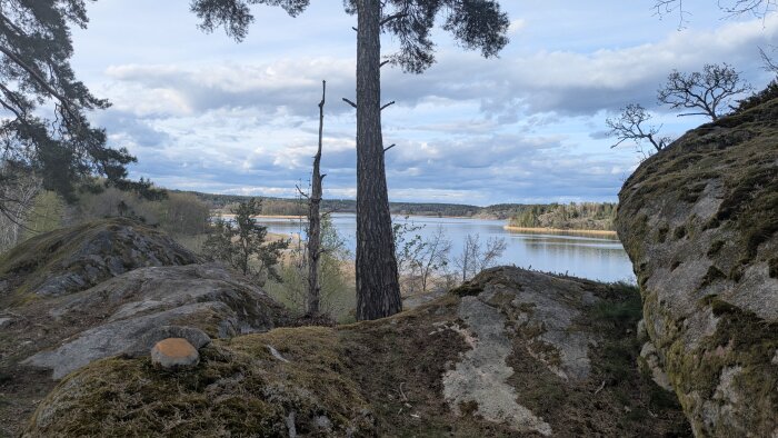 Skogslandskap med träd och mossbeklädda stenar i förgrunden, en sjö och skog vid horisonten under en molnig himmel.