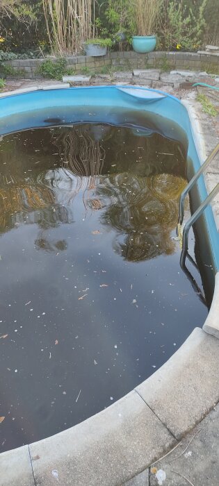 Skevt poolområde med smutsigt vatten och omgivande växtlighet. Poolens struktur verkar vara skadad och vattnet är grumligt.