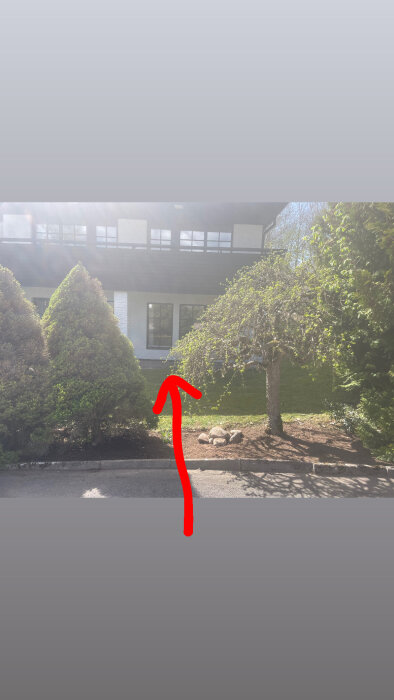 Bilden visar en trädgård med två träd framför ett hus och en röd pil som pekar mot fönstret.