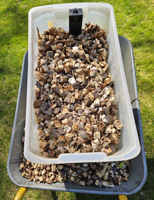 En plastlåda full med träflis placerad i en skottkärra utomhus på gräs.