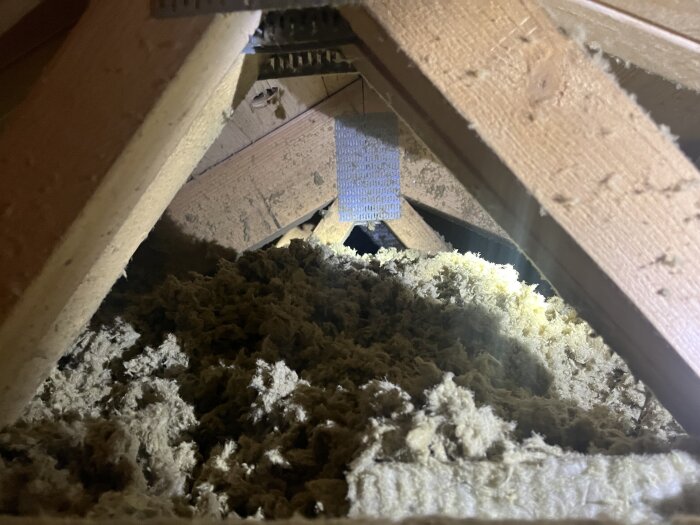 Lösull i ett isolerat tak med träbalkar synliga.