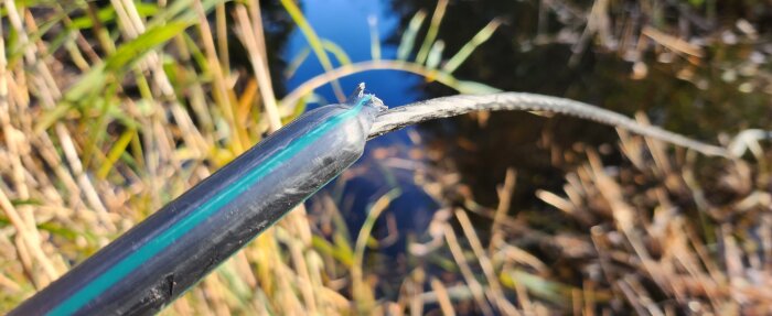Skadad fiberkabel i ett gräsbevuxet område vid vatten.