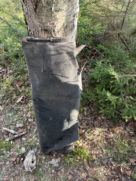 Takpapp lutad mot ett träd i skogsmiljö, visar tecken på ålder och är delvis sliten med omgivande löv och grenar.