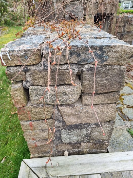 Gammal murad stengrill med släppt murbruk och växtlighet på toppen.