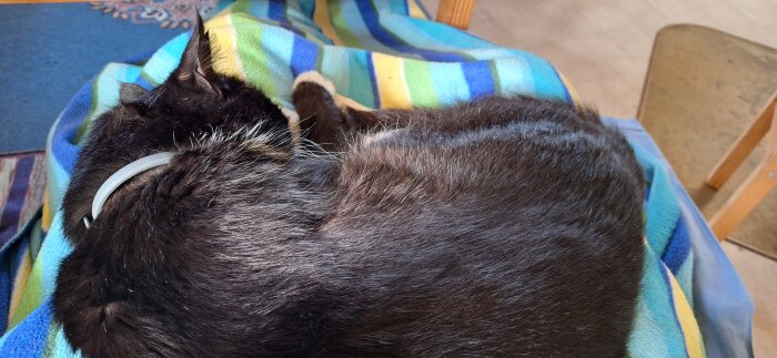 Svart katt ligger sovande på en färgglad randig filt på en stol.
