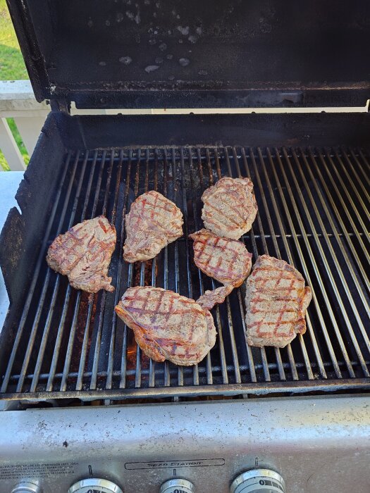 Biff och entrecote som grillas på en öppen grill, med fina grillränder på köttbitarna.
