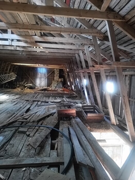 Gammal ladugård med trasigt golv och takbjälkar, lådor, brädor och damm, samt ljus från små fönster på väggens högra sida.