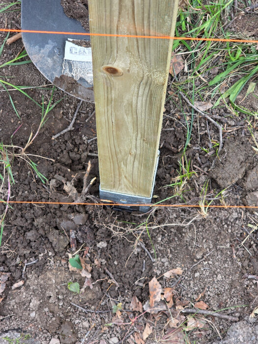 Trästolpe i stolpspjut installerad i marken med murarsnöre för att justera riktning, omgiven av jord och löv.